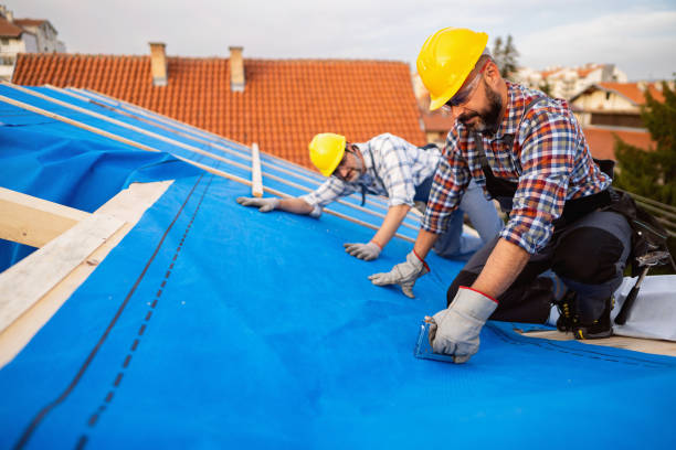 Best Rubber Roofing (EPDM, TPO)  in Horse Cave, KY