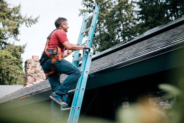 Best Roof Moss and Algae Removal  in Horse Cave, KY